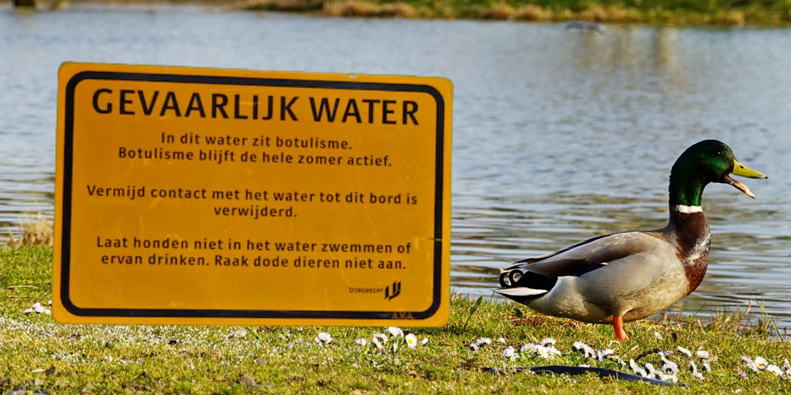 Botulisme Dordrecht Park Merwestein